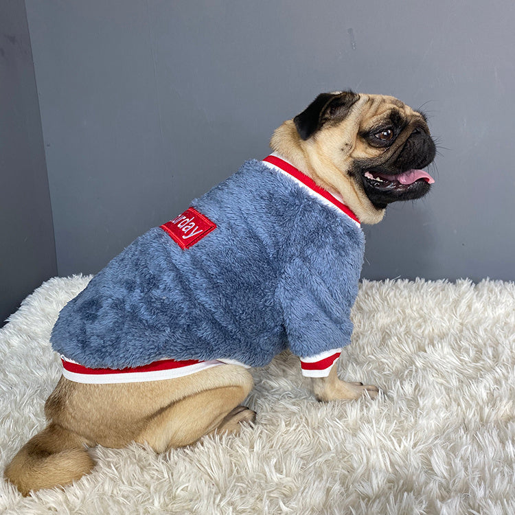 Pug wearing a blue fleece coat with a red patch on a white rug against a gray wall