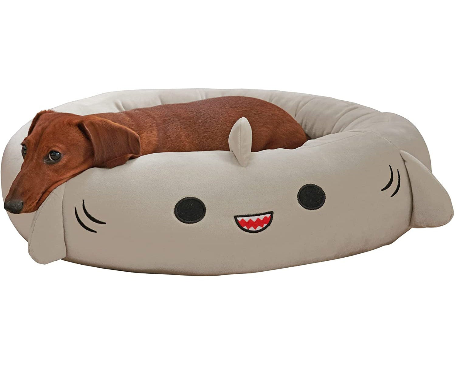 Dog bed shaped like a shark with a dachshund lying on it, on a white background