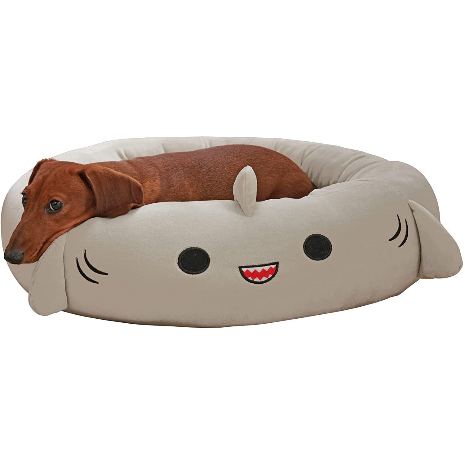 Affordable Pet Beds for Large Dogs