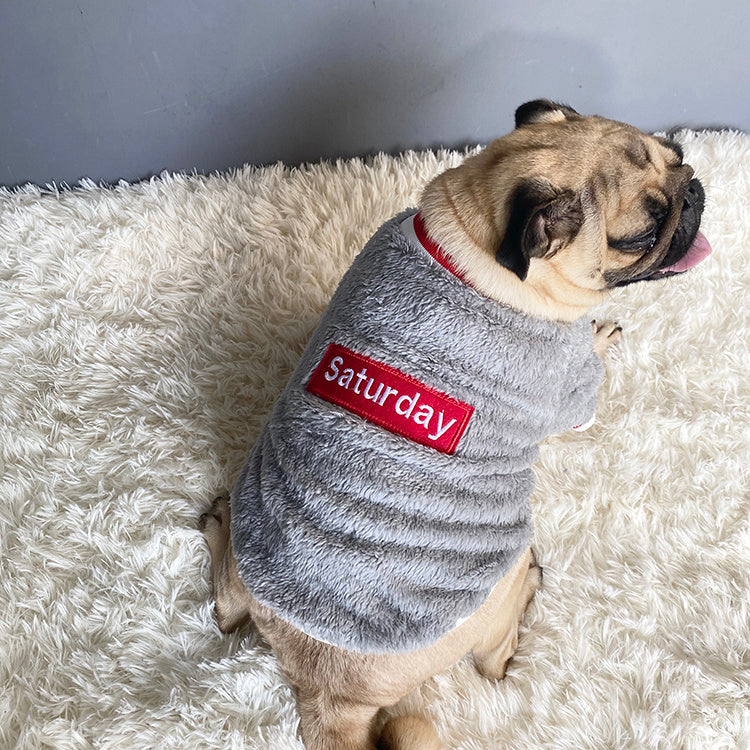 Pug wearing a gray sweater with a 'Saturday' label on a fluffy white rug.
