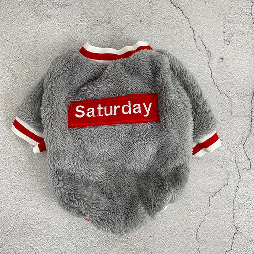 Gray fluffy dog sweater with red and white 'Saturday' label on a textured gray background