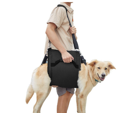 Person carrying a black pet sling with a dog on a white background