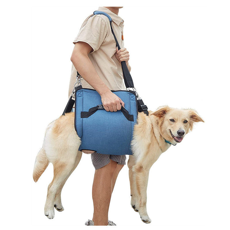 Person carrying a dog in a blue carrier on a white background