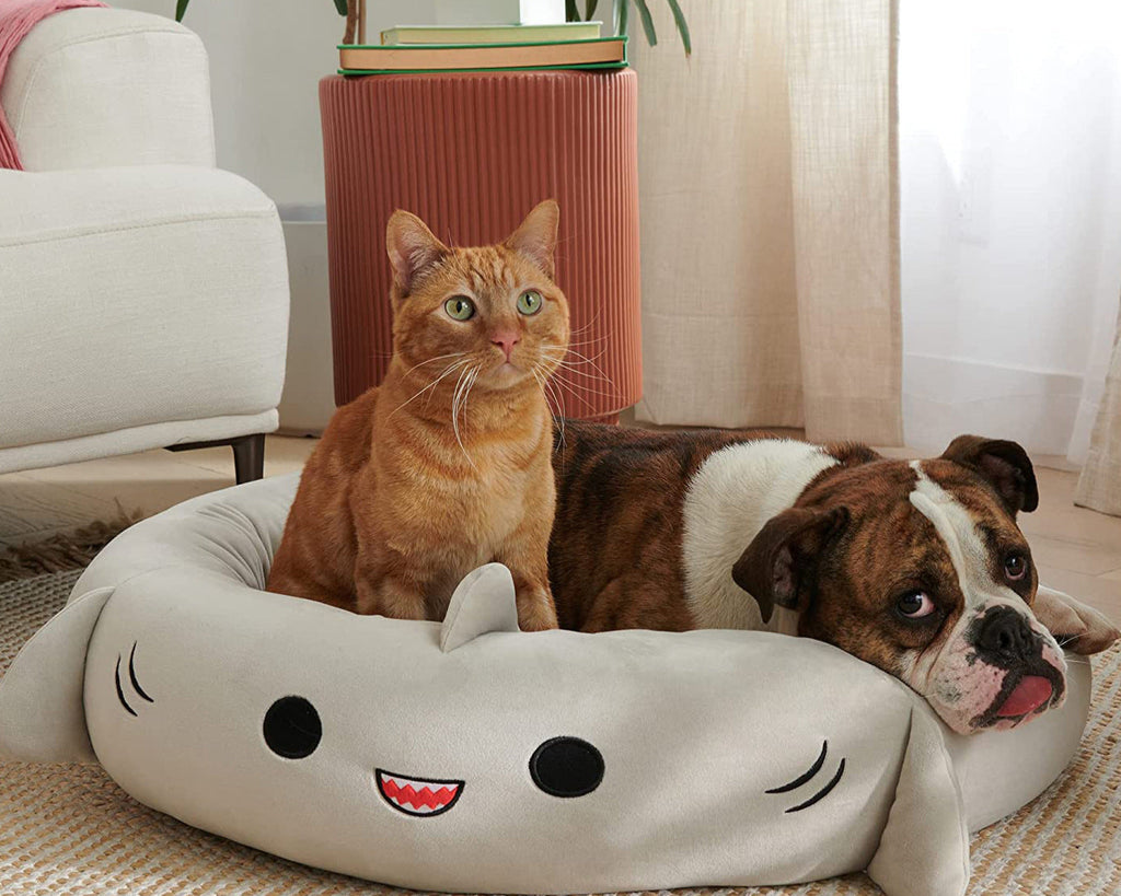 Cat and dog lying on a shark-shaped pet bed in a cozy living room.