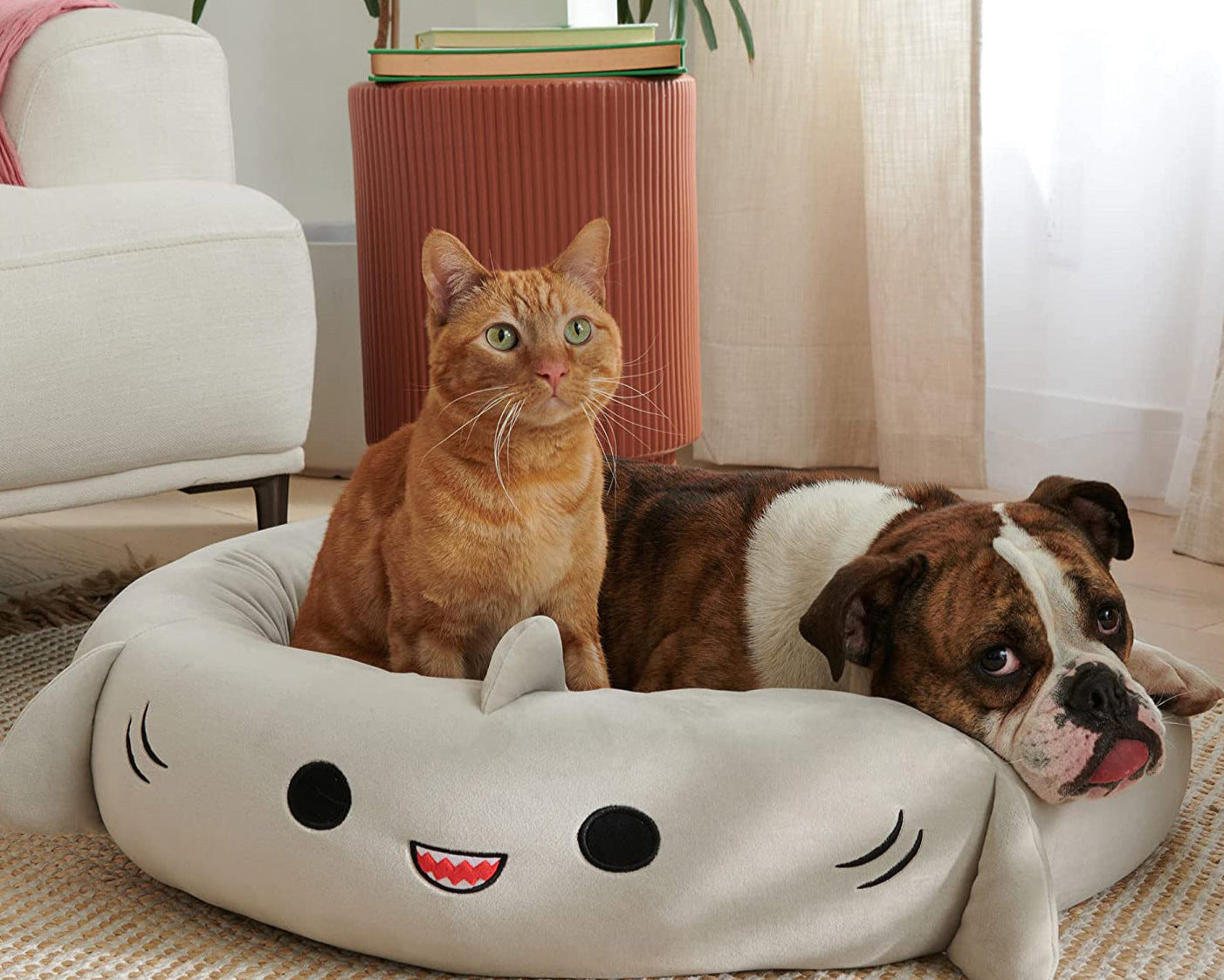 Cat and dog lying on a shark-shaped pet bed in a cozy living room.