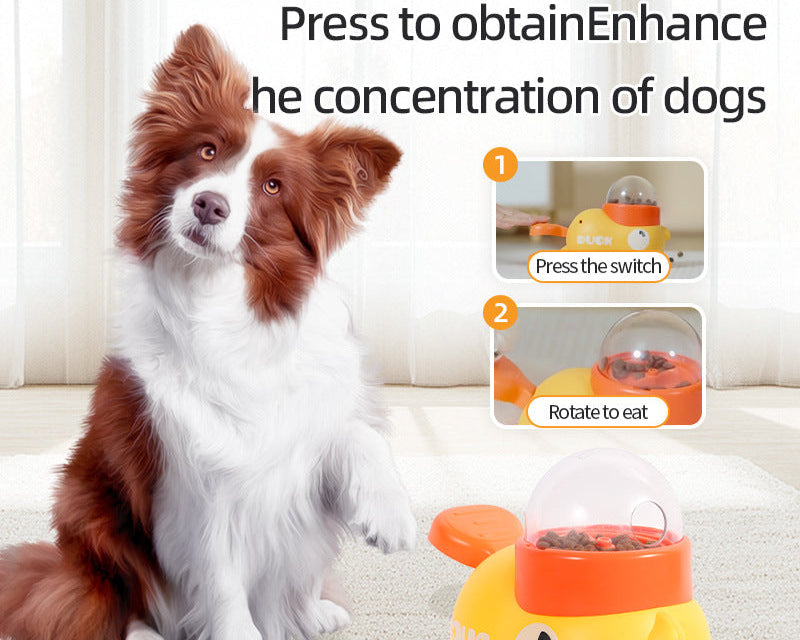 Dog sitting next to a yellow and orange pet toy with instructions on how to use it.