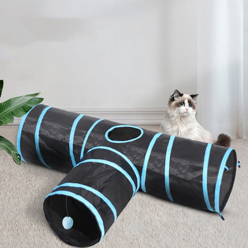 Cat playing with a black and blue striped tunnel on a carpeted floor.