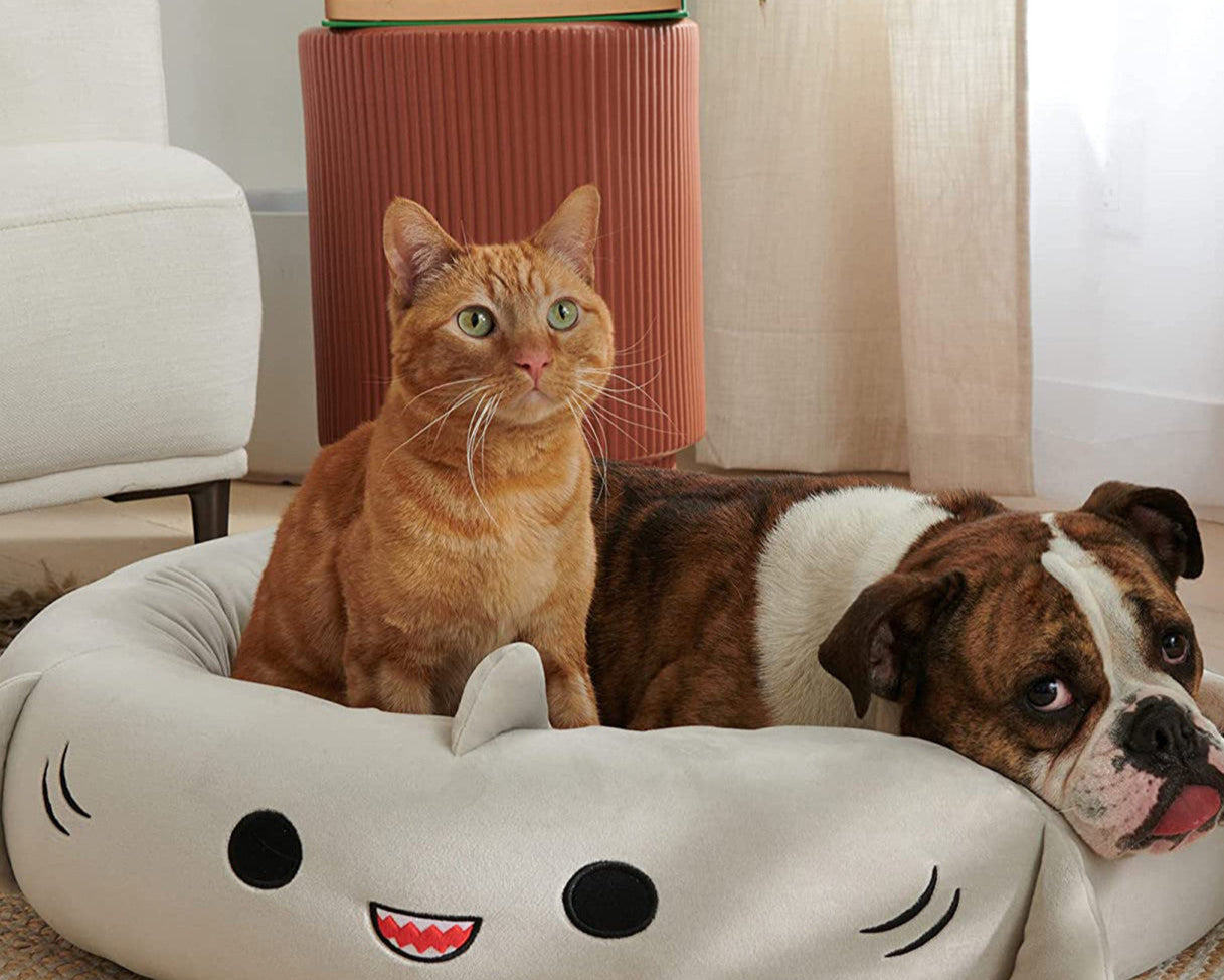 Cat and dog lying on a shark-shaped pet bed in a cozy living room.